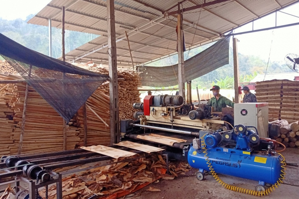 Phát triển kinh tế tư nhân: Cơ hội để thúc đẩy an toàn, vệ sinh lao động