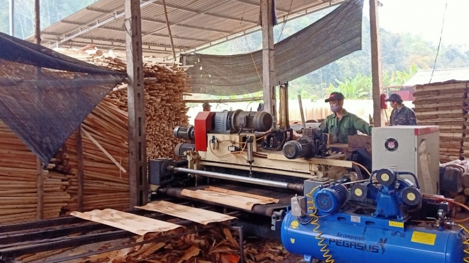 Phát triển kinh tế tư nhân: Cơ hội để thúc đẩy an toàn, vệ sinh lao động