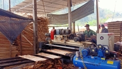 Phát triển kinh tế tư nhân: Cơ hội để thúc đẩy an toàn, vệ sinh lao động