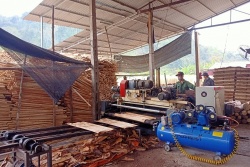 Phát triển kinh tế tư nhân: Cơ hội để thúc đẩy an toàn, vệ sinh lao động