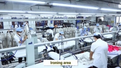 Sức khỏe tinh thần người lao động - Yếu tố then chốt cho chuyển đổi số bền vững