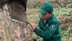 Những "cây sáng kiến" miệt mài học tập, cống hiến vì lợi ích chung