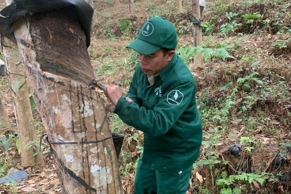 Tuổi cao chí càng cao: Những "cây sáng kiến" miệt mài học tập, cống hiến vì lợi ích chung
