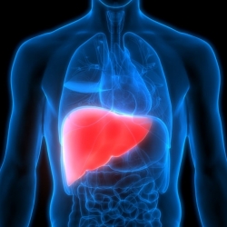 Bổ gan, giải độc sau kỳ nghỉ: Người lao động cần hiểu đúng để tránh nguy hiểm