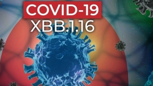Cảnh báo: Biến thể XBB.1.16 tiếp tục lây lan, số ca COVID-19 tăng nhẹ tại TP Hồ Chí Minh