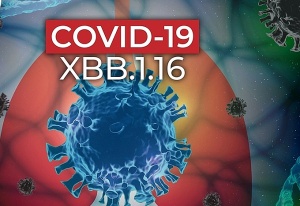 Cảnh báo: Biến thể XBB.1.16 tiếp tục lây lan, số ca COVID-19 tăng nhẹ tại TP Hồ Chí Minh