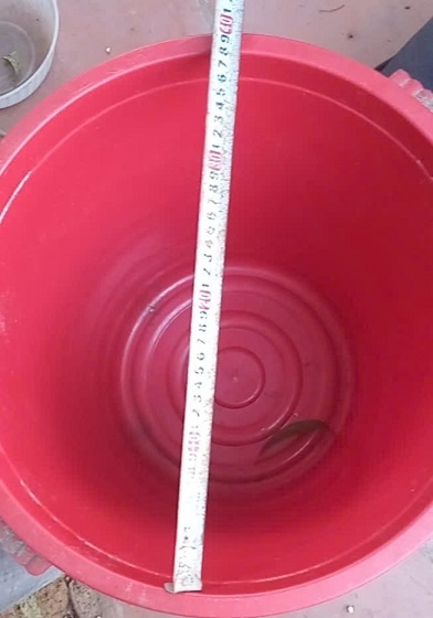 Cảnh báo nguy cơ trẻ nhỏ đuối nước ngay tại gia đình