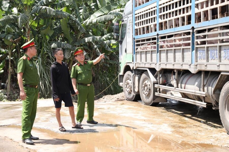 Lợn nhiễm bệnh vẫn đi tiêu thụ, người tiêu dùng làm gì để phòng tránh?