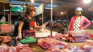 Lợn nhiễm bệnh vẫn đi tiêu thụ, người tiêu dùng làm gì để phòng tránh?