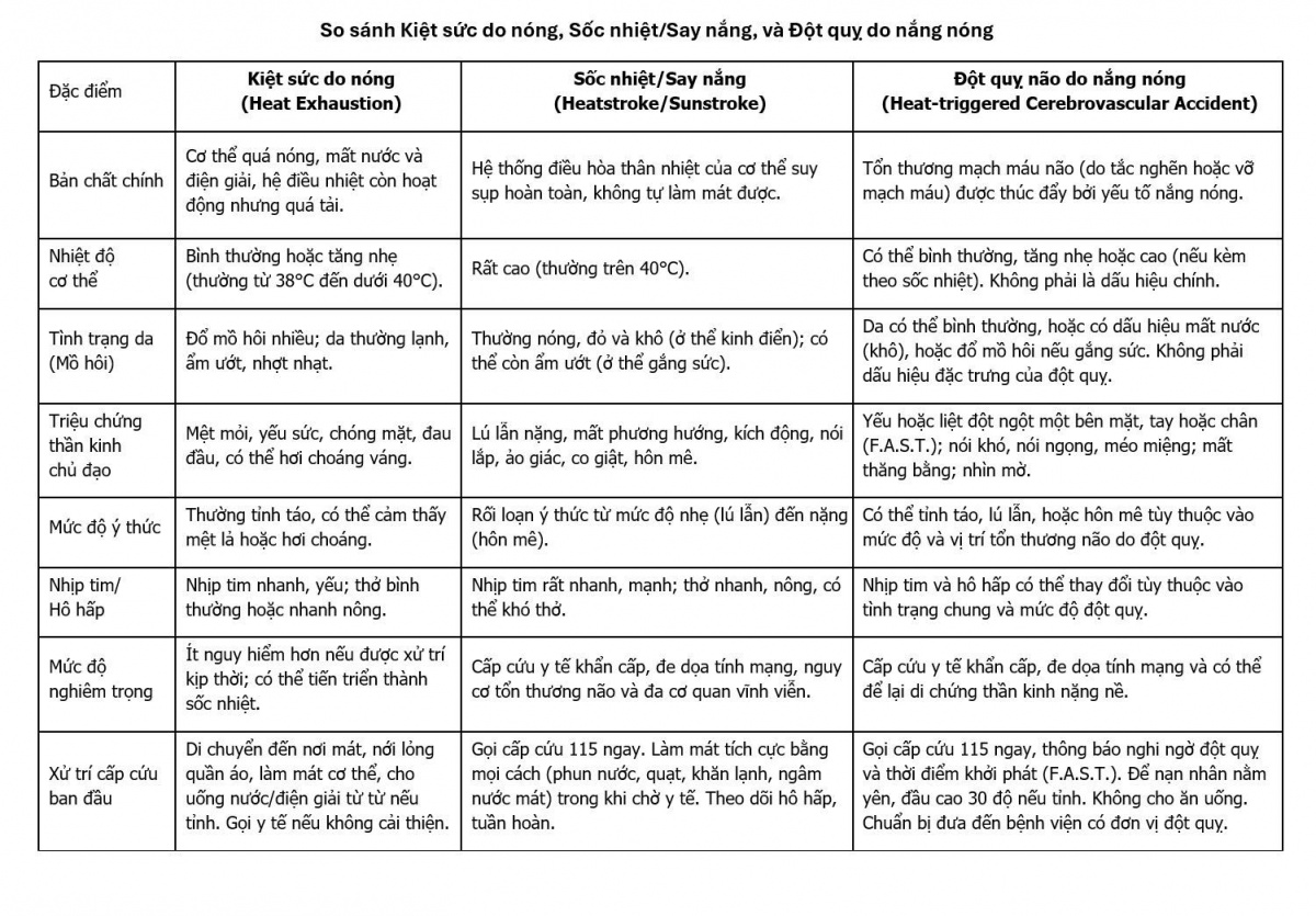 Cách phân biệt kiệt sức, sốc nhiệt và đột quỵ do nắng nóng để tránh tử vong