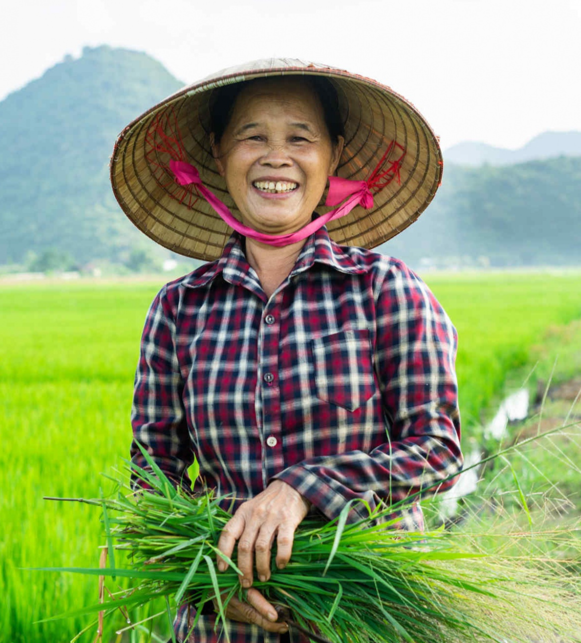 Phụ nữ: Động lực kép cho tăng trưởng xanh và việc làm tại Việt Nam