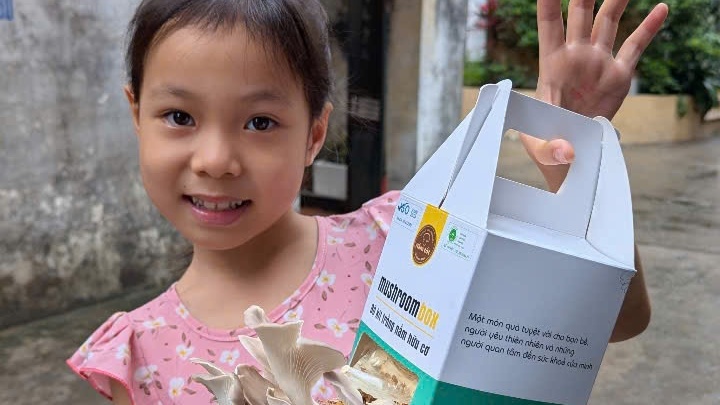 Trẻ em hóa “nông dân - doanh nhân - đầu bếp” với mô hình trồng nấm sạch tại nhà