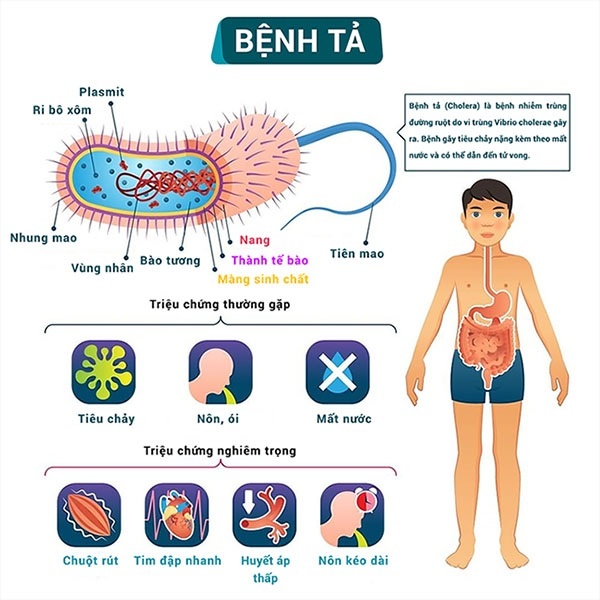 Bộ Y tế cảnh báo: Bệnh tả bùng phát phức tạp trên toàn cầu, tỷ lệ tử vong tăng 46%