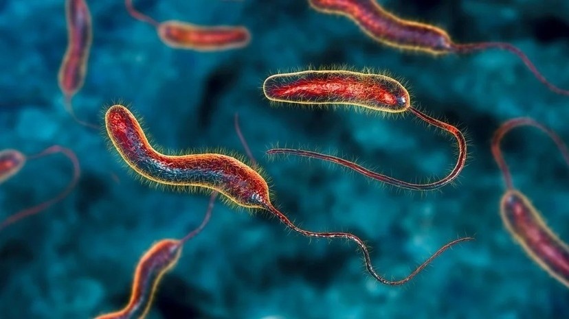 Bộ Y tế cảnh báo: Bệnh tả bùng phát phức tạp trên toàn cầu, tỷ lệ tử vong tăng 46%