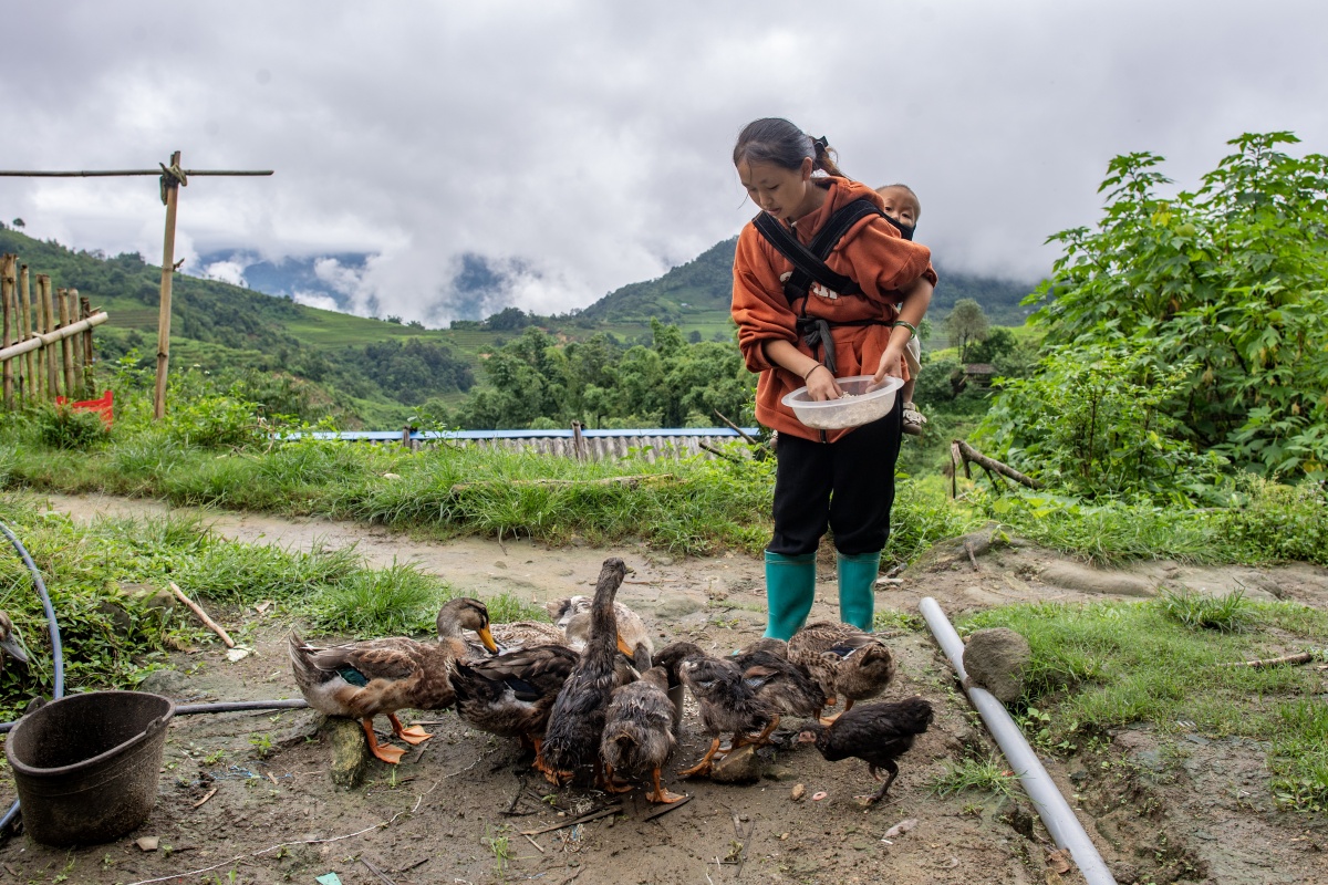 Từ câu chuyện giàn chanh leo của Hoa đến hành trình làm chủ cuộc sống của thanh niên Lai Châu
