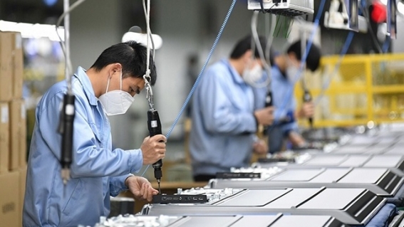 Thống kê lao động Việt Nam: “Mỗi con số kể một câu chuyện”