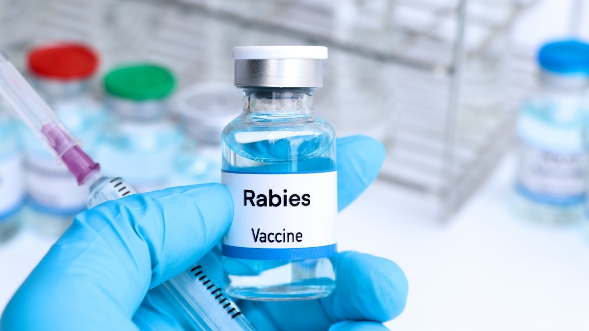 Bệnh dại có xu hướng tăng, WHO hỗ trợ khẩn 9.000 liều vaccine cho 2 tỉnh nguy cơ cao tại Việt Nam