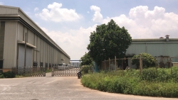 "Công ty CP Ô tô 1-5 chấm dứt hợp đồng lao động với công nhân là trái pháp luật"