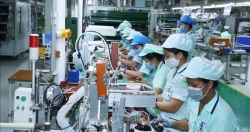 Bảo vệ quyền lợi người lao động, thương lượng tăng lương tối thiểu vùng