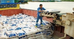Lợi nhuận của doanh nghiệp phân bón sẽ giảm tốc những tháng cuối năm?