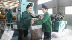 Tăng giờ làm thêm, mong được hưởng lương hợp lý