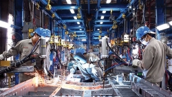 Nghịch lý: Doanh nghiệp thiếu nhân lực, lao động vẫn thất nghiệp